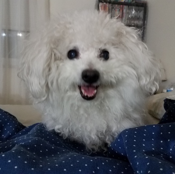 Meet your Posher, Ecposhme - Picture 1 of 1